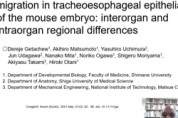 【AL-3】マウス胎仔の気管および食道におけるinterkinetic nuclear migrationの器官間・部位間の差の解析