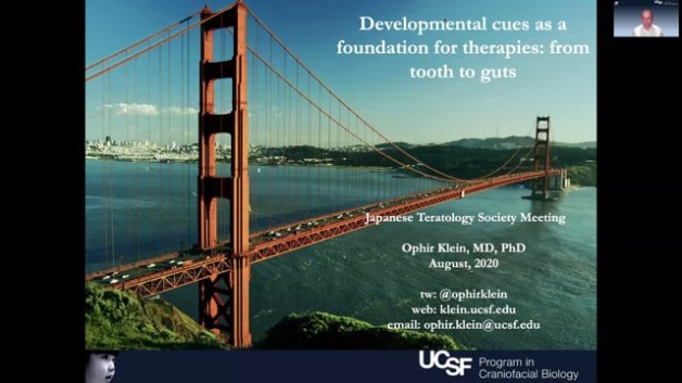 【SL-3】Developmental cues as a foundation for therapies: from tooth to guts