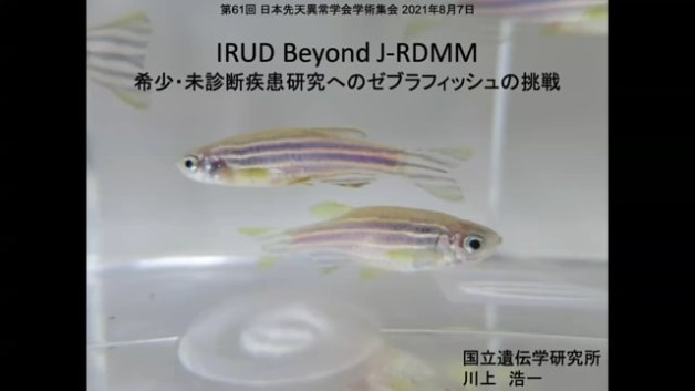 【S1-3】IRUD Beyond J-RDMM-希少・未診断疾患研究へのゼブラフィッシュの挑戦-
